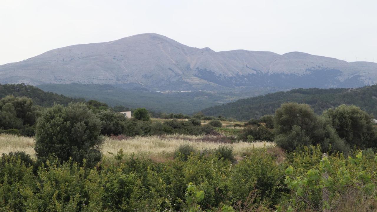 Echo Traditional House - Ηχώ Παραδοσιακό Σπίτι Émbonas المظهر الخارجي الصورة