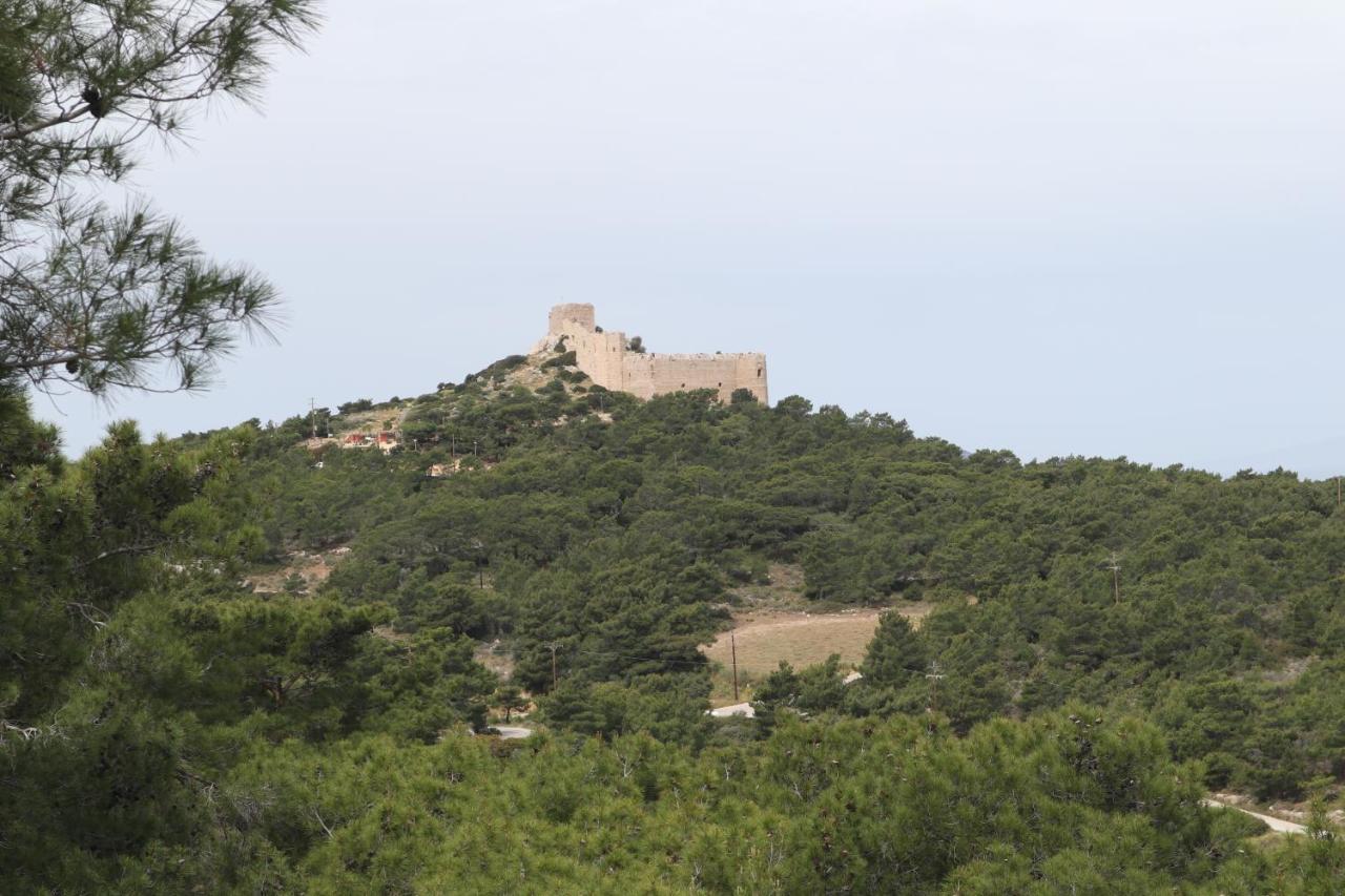 Echo Traditional House - Ηχώ Παραδοσιακό Σπίτι Émbonas المظهر الخارجي الصورة